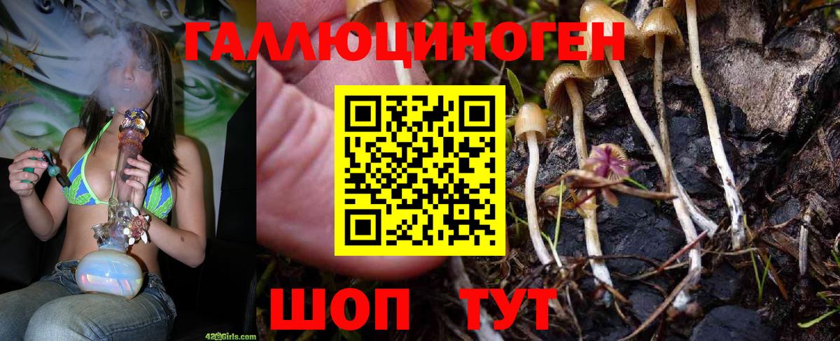 Псилоцибиновые грибы прущие грибы Сосновоборск